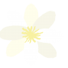 Valkoisen kukan logo transparent tausta